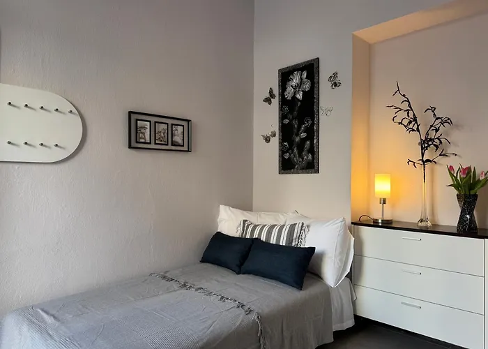 Celine By Stella 萨索斯