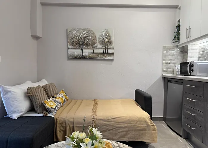 Celine By Stella * 萨索斯